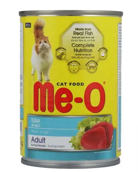wet food