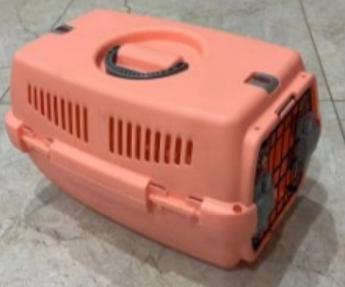 cat carrier